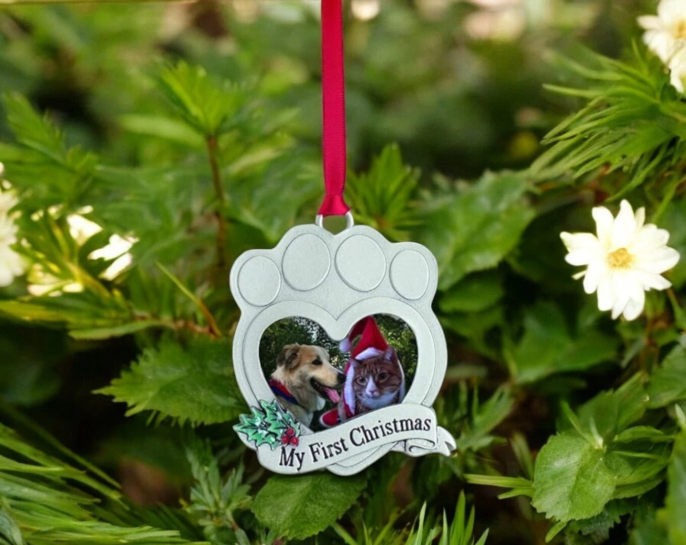 Oh Christmas Tree Cat Ornament, Window Hanging, Pet Lovers