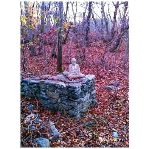 Peaceful in the Woods Notecards, Tranquil Serenity, Peaceful Woods - Set of 5